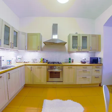 Comfortable Apart In City Center *